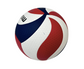"Almost Perfect" Molten USAV Flistatec Volleyball
